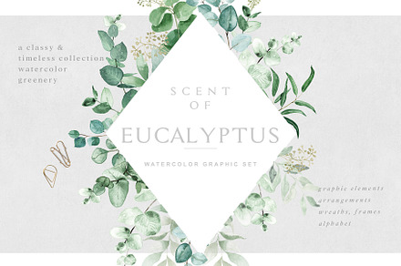 Scent of Eucalyptus - Graphic Set