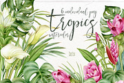 Watercolor tropical arrangements., an Illustration by Mary (Thumbnail 1 of 4)