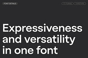 TT Turns, a Sans Serif Font by TypeType (Thumbnail 3 of 26)