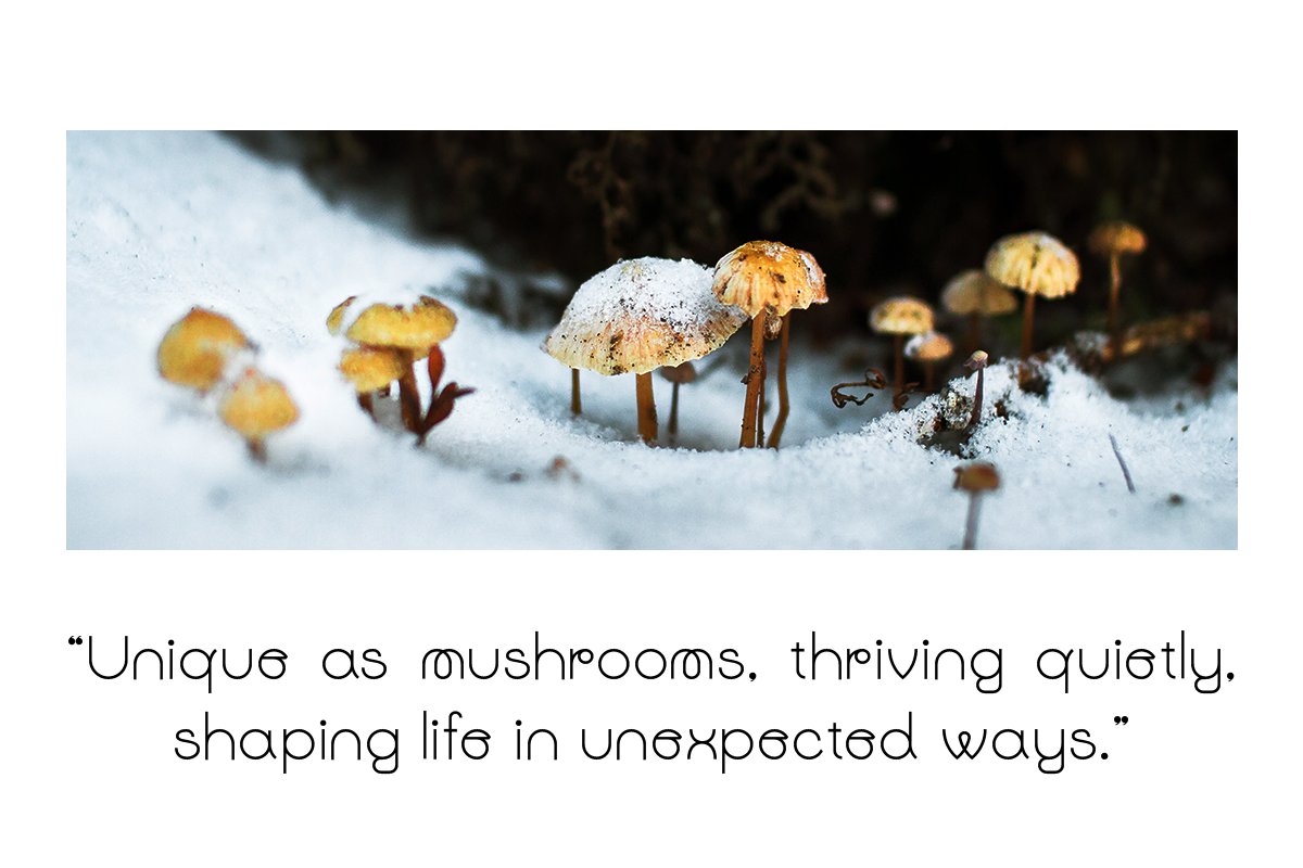 Gaego Font - A Modern and Clean Sans, a Sans Serif Font by roomspace creative lab (Photo 9 of 12)