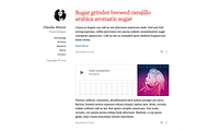 Winter Tumblr Theme, a Websites & App Template by Vietism (Thumbnail 3 of 4)