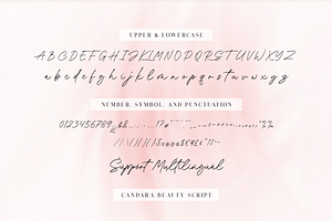 Candara Beauty - A Stylish Font Duo