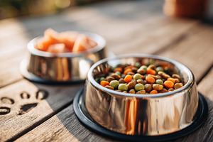 Colorful kibble in stainless steel pet bowls, a Food & Drink Photo by AlyaAnd