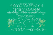 Break Flavor Modern Handwritten, a Script Font by Integritype Studio (Thumbnail 13 of 15)