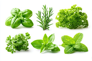 Fresh mixed culinary herbs on white background, a Food & Drink Photo by AlyaAnd