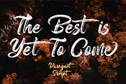 Vinegart - Handwritten Font, a Script Font by FHFont (Thumbnail 3 of 8)
