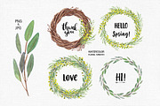 Set of watercolor mimosa flower, a Decorative Illustration by natadanko (Thumbnail 2 of 3)