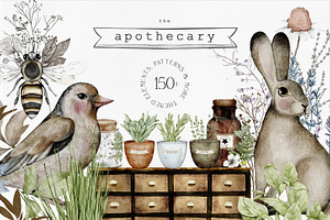 Apothecary Herb Illustrations