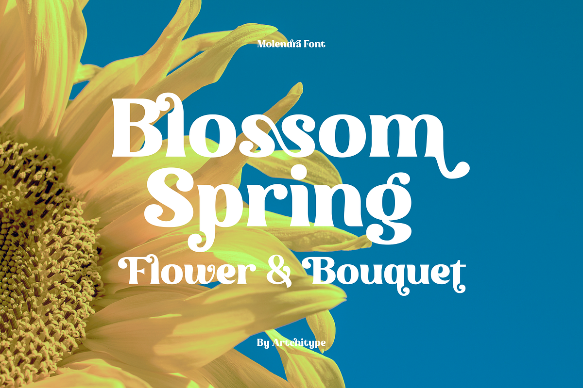 Molendra - Display Serif Typeface, a Serif Font by Artchitype Studio (Photo 8 of 17)