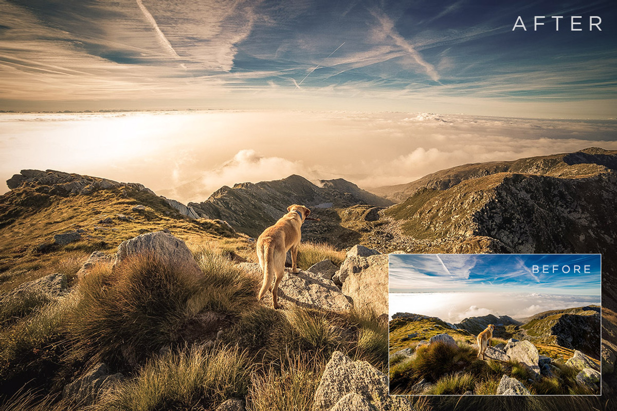Color Toning Lightroom Presets Vol 1, a Preset Add-On by ShutterSweets (Photo 3 of 5)