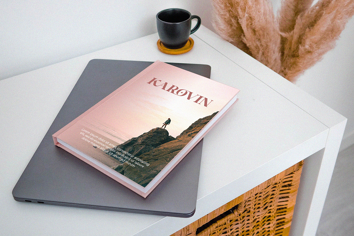 Vinaly Serif Font, a Serif Font by Idea Studio (Photo 6 of 11)