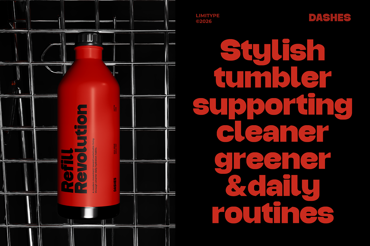 Dashes - Bold Font, a Sans Serif Font by limitype (Photo 9 of 12)