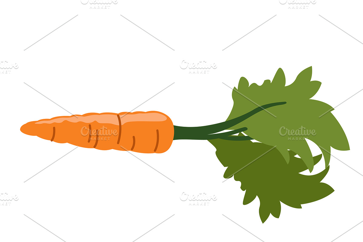 Seasonal vegetables!, a Food Illustration by Hannet (Photo 2 of 5)