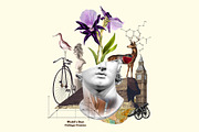World's Best Collage Creator, an Animal Illustration by SNIPESCIENTIST (Thumbnail 31 of 48)