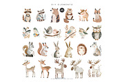 watercolor woodland animal clipart, an Animal Illustration by Pink Studio Art (Thumbnail 11 of 14)