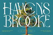 Havens Brooke Editorial Serif, a Serif Font by timelesstype.co (Thumbnail 1 of 20)
