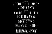 Centrue Modern Display Serif, a Serif Font by Alfinart (Thumbnail 9 of 11)