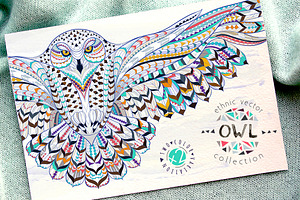 Ethnic Collection: Snowy Owl