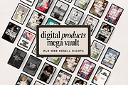 150+ PLR MRR Digital Products, a Presentation Template by The Thrive Society (Thumbnail 1 of 10)