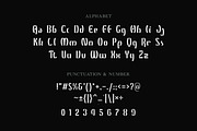 Oscarios - Stylish Display Font, a Sans Serif Font by Attractype (Thumbnail 11 of 12)