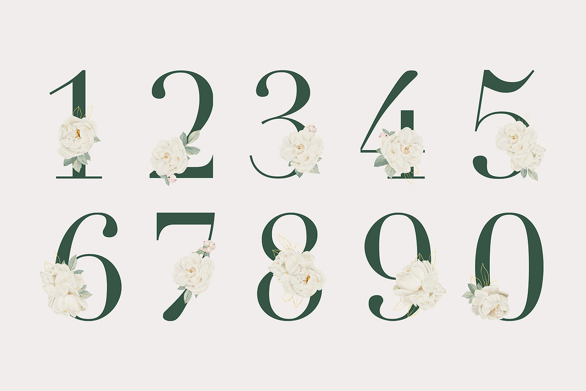 Watercolor White Rose Collection, an Object Illustration by bloomscape (Photo 9 of 13)