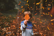 70 Natural Falling Leaf Overlays, a Layer Style Add-On by CityTurtles (Thumbnail 3 of 9)