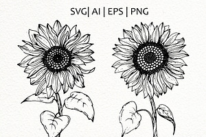 Sunflowers. Ink Line Art