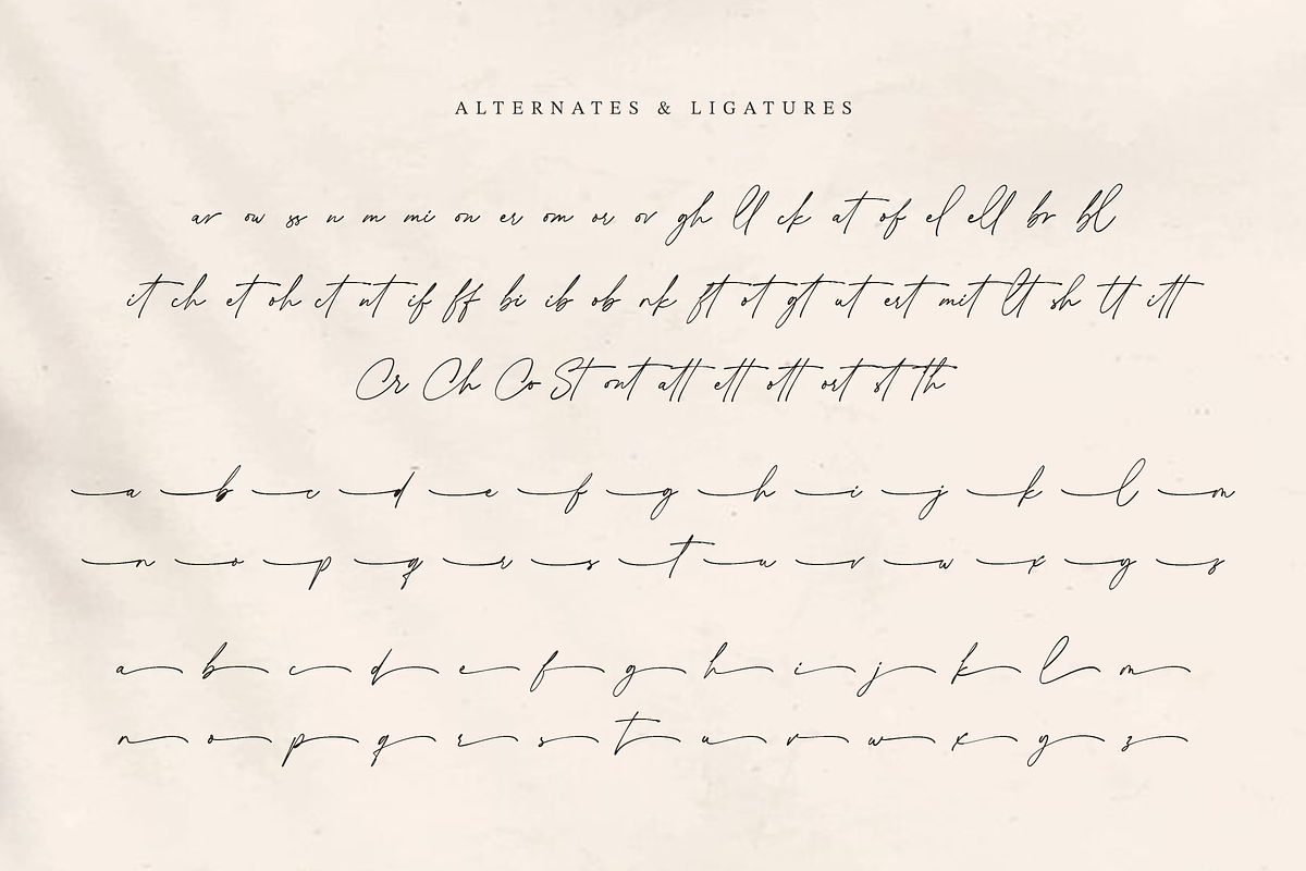 Collingethon Chic Handwritten Script, a Script Font by Namara Creative Studio (Photo 7 of 12)