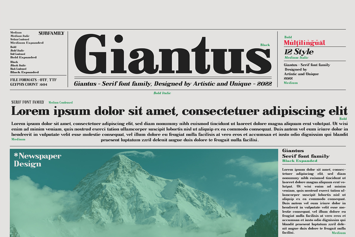Giantus - Serif font family, a Serif Font by Artistic & Unique (Photo 4 of 13)