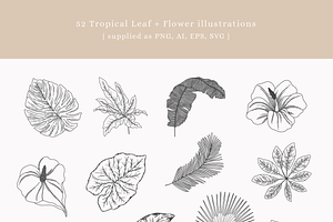 Tropical Leaf Flower Vectors