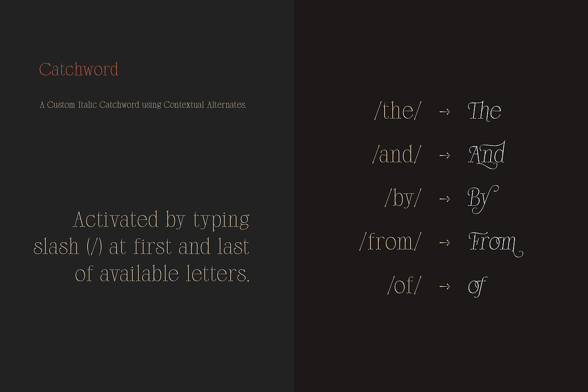 Scottsdale Serif preview 8