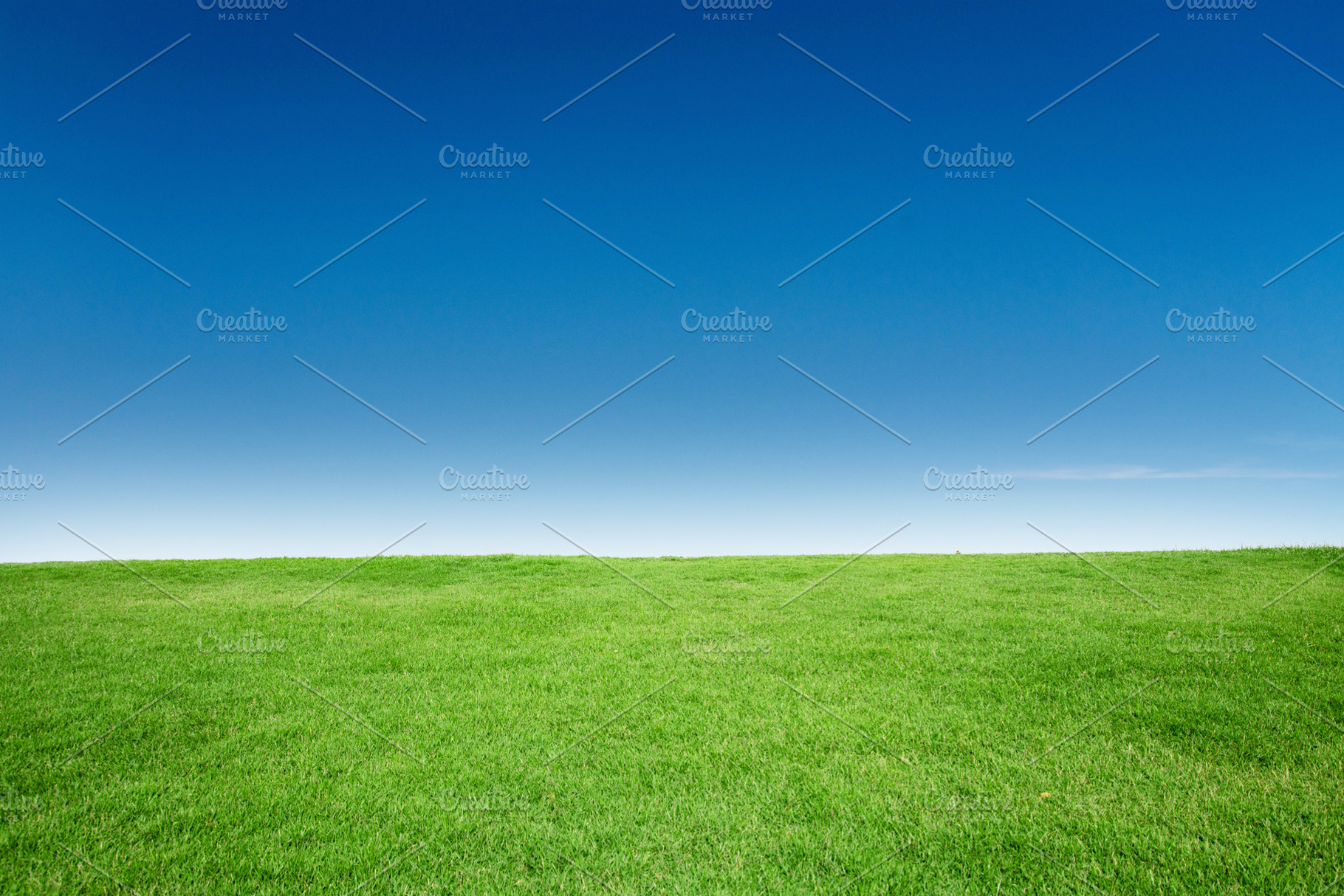 Grass texture with blue sky containing abstract, background, and beautiful, a Nature Photo by charnsitr