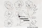 Poppy Fine Line Procreate Stamps, a Brush Add-On by CaraulanStore (Thumbnail 2 of 8)