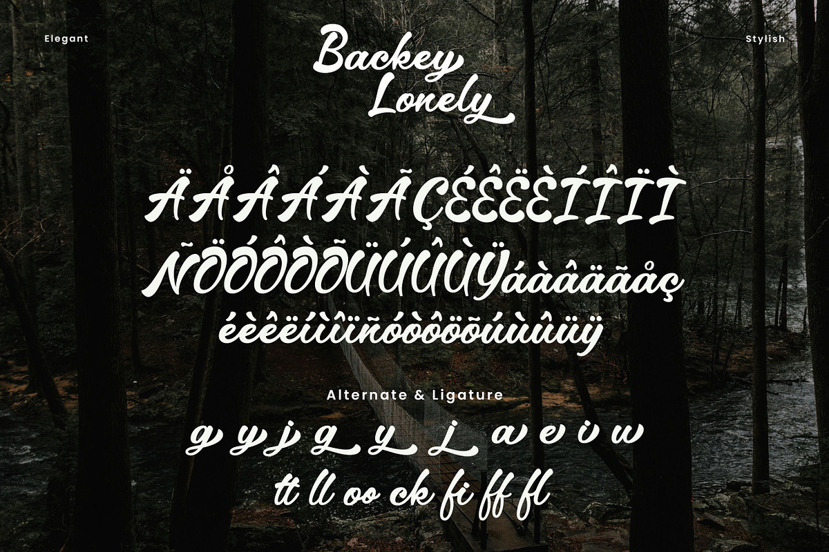 Backey Lonely – Retro Script Font, a Script Font by Imiftype Studio (Photo 9 of 10)