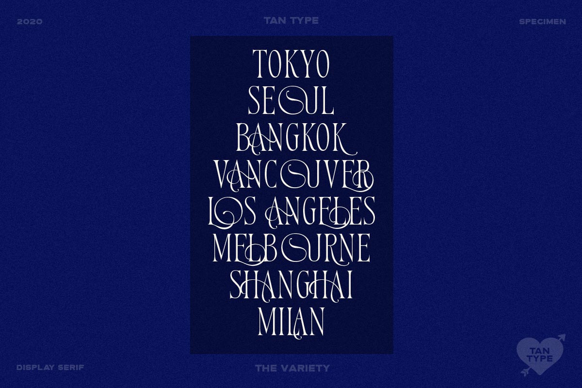 TAN - Variety, a Serif Font by TanType (Photo 16 of 26)