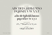 Lugife Elegant Serif, a Serif Font by Perfectype (Thumbnail 8 of 9)