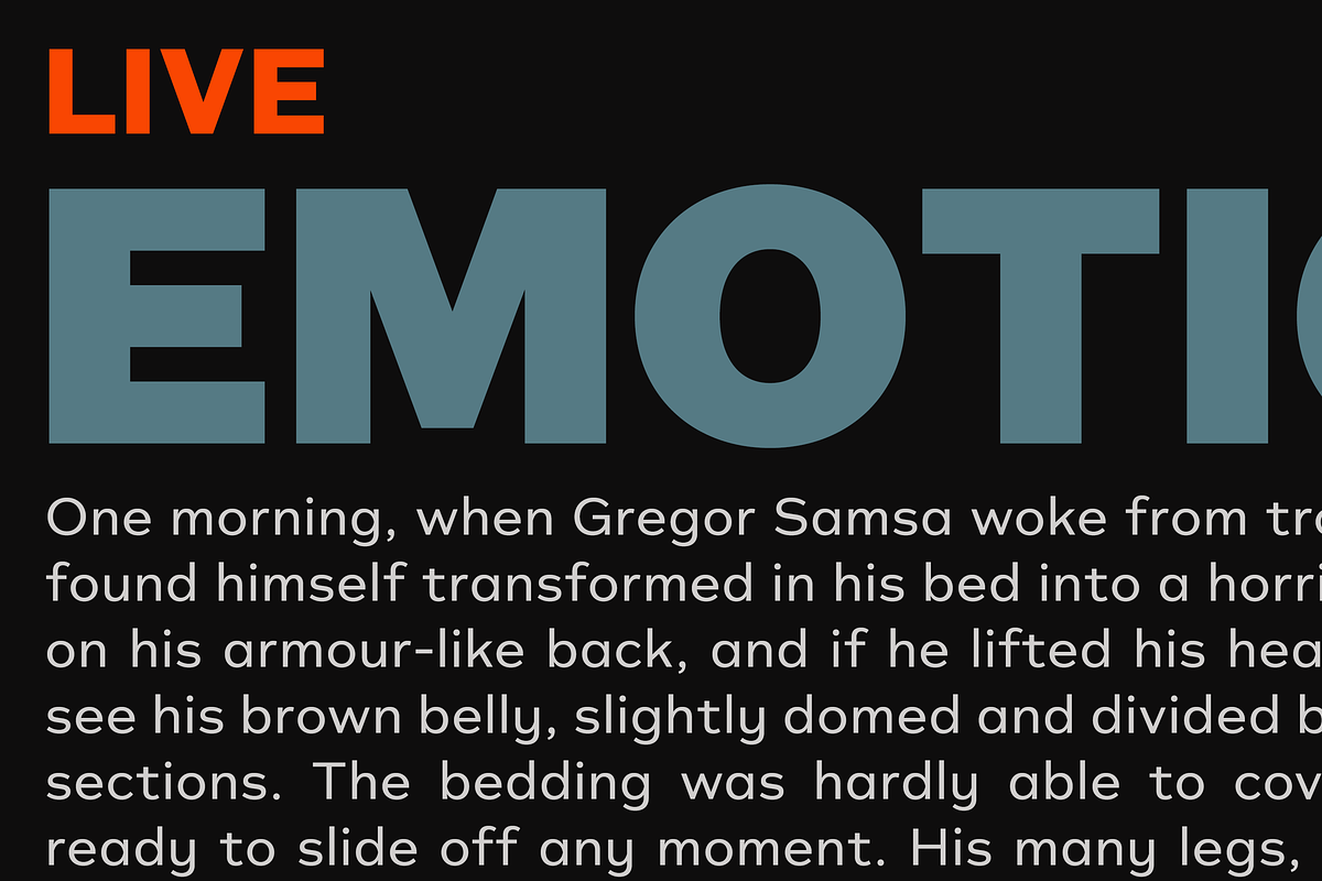 Typonium, a Sans Serif Font by Dharma Type (Photo 7 of 10)