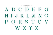 Negita Serif Font, a Serif Font by Idea Studio (Thumbnail 9 of 12)