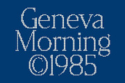 CS Reggie Disco, a Serif Font by Craft Supply Co. (Thumbnail 5 of 8)
