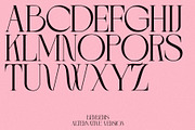 BERBERIS - Display Unique Serif, a Serif Font by Misha Sova (Thumbnail 8 of 14)