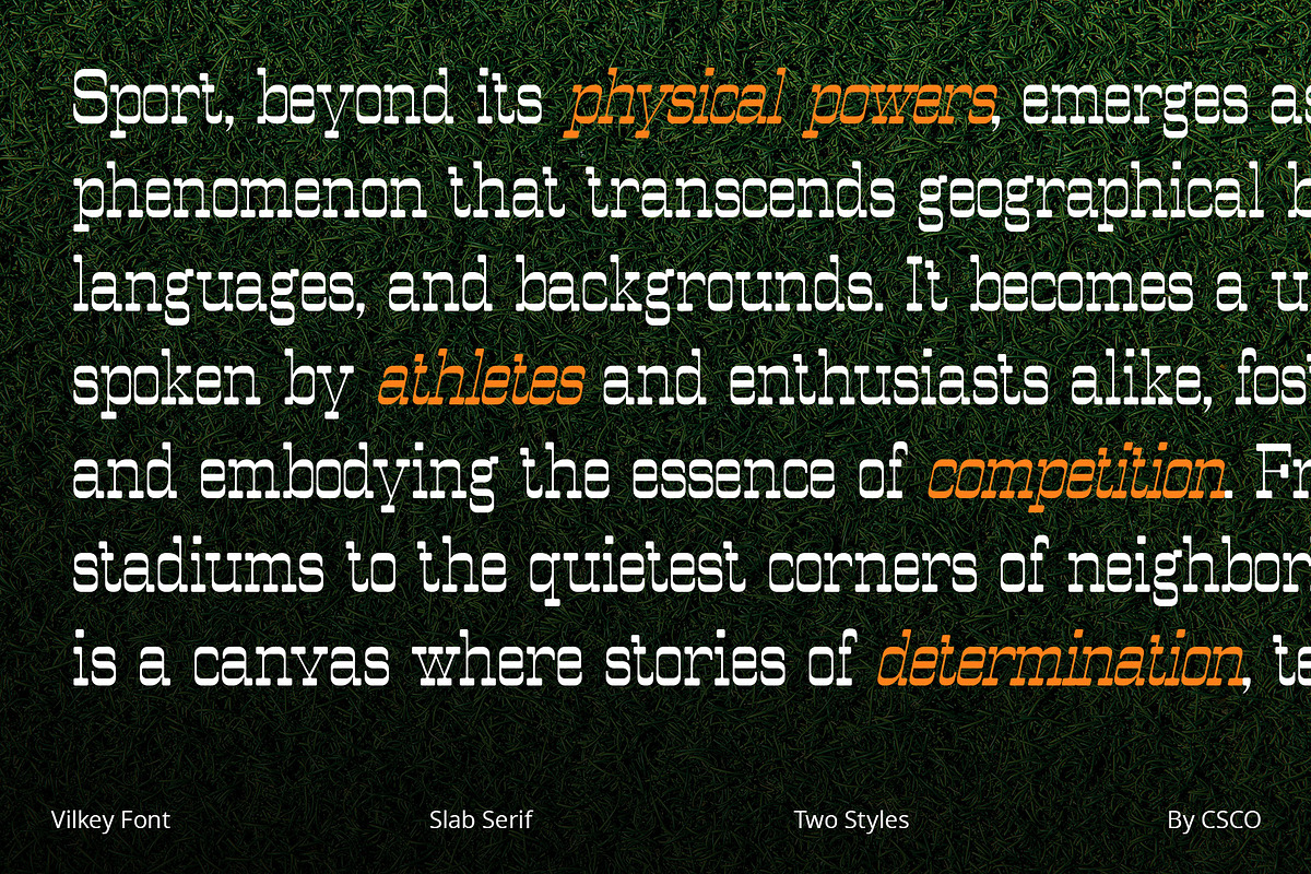 Vilkey – Slab Serif, a Serif Font by Craft Supply Co. (Photo 5 of 8)