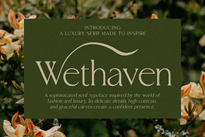 Wethaven – Luxury Serif Font