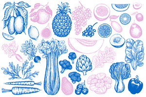 Mediterranean Diet Vector Collection