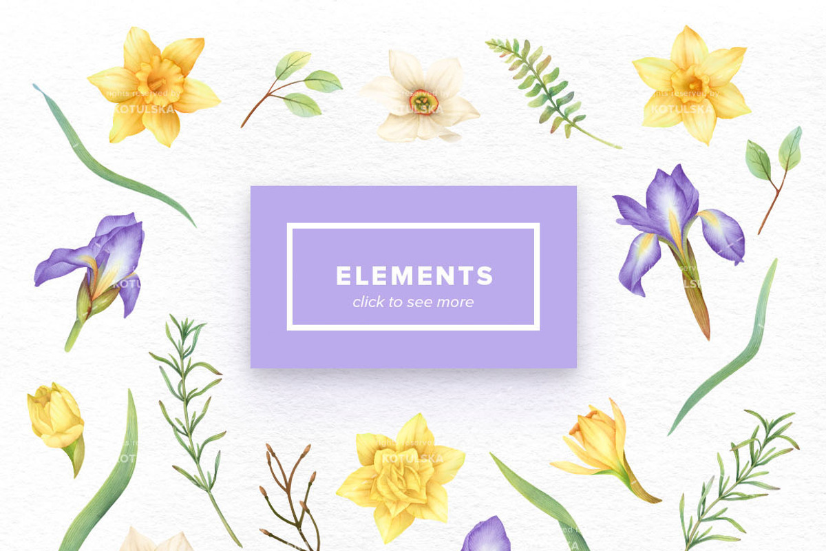 Watercolor Daffodils Set, an Object Graphic by Kotulska (Photo 2 of 3)