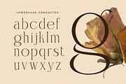 Charnoir - Modern Elegant Luxury, a Serif Font by Qweera Studio (Thumbnail 10 of 12)