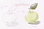 Aquarelle Brushes: Procreate, a Brush Add-On by Leonard Posavec (Thumbnail 2 of 7)