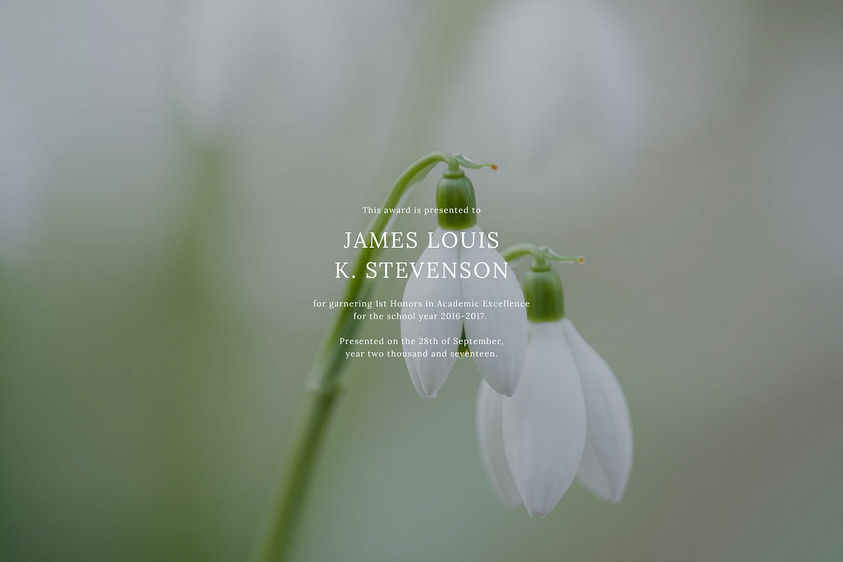 Floral Nature Backgrounds VOL4, a Background Graphic by digital.incubator.yum (Photo 7 of 10)