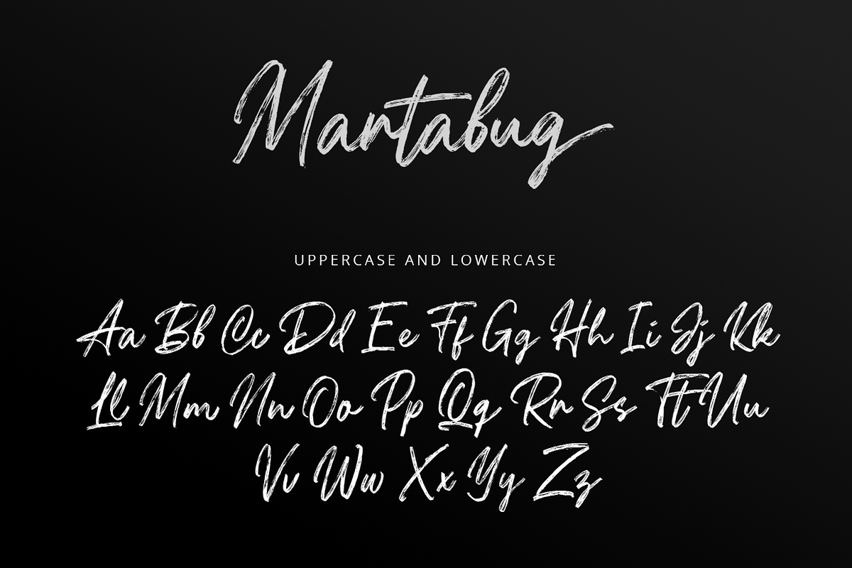 Martabug - Handwritten Brush Font, a Script Font by overlaytemplates (Photo 4 of 6)