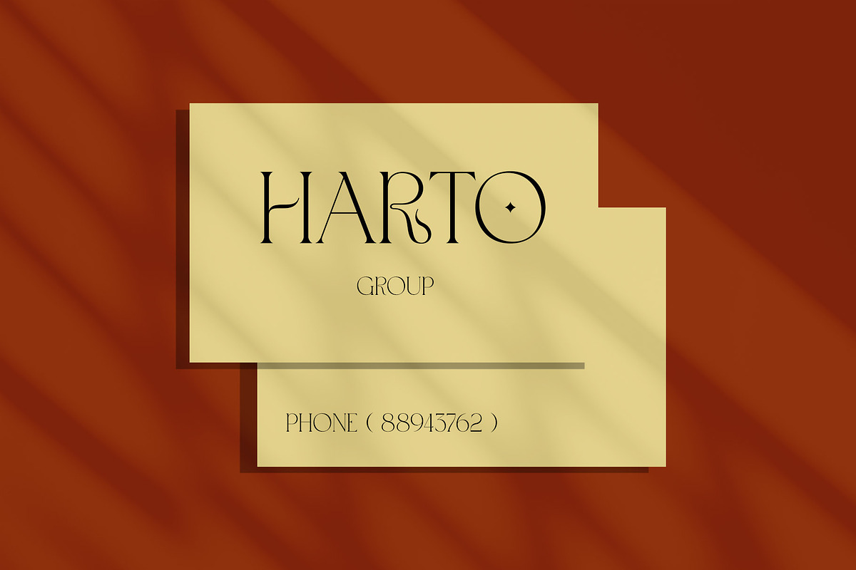 Vamos Unique Serif Typeface, a Serif Font by Alfinart (Photo 8 of 10)