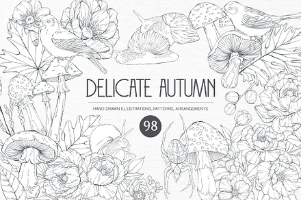 Delicate Autumn Collection